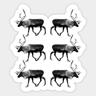 Santa Claus Reindeer Sticker